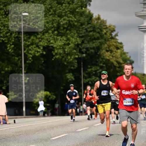 29.06.2025 - hella hamburg halbmarathon Dr. Thomas Lammeyer http://msf.ph/oto/8315681 29.06.2025 10:17:15 Kennedybrücke 1007, 1328, 1859, 2961, 2987, 3218, 3729, 4554, 4950, 5232, 5597, 5598, 6026, 7346, 8115, 8279, 8913, 9128, 9527, 10581 meine-sportfotos.de