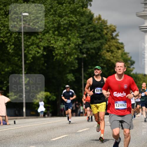29.06.2025 - hella hamburg halbmarathon Dr. Thomas Lammeyer http://msf.ph/oto/8315747 29.06.2025 10:17:15 Kennedybrücke 1007, 1328, 1859, 2961, 2987, 3218, 3729, 4554, 4950, 5232, 5597, 5598, 6026, 7346, 8115, 8279, 8913, 9128, 9527, 10581 meine-sportfotos.de