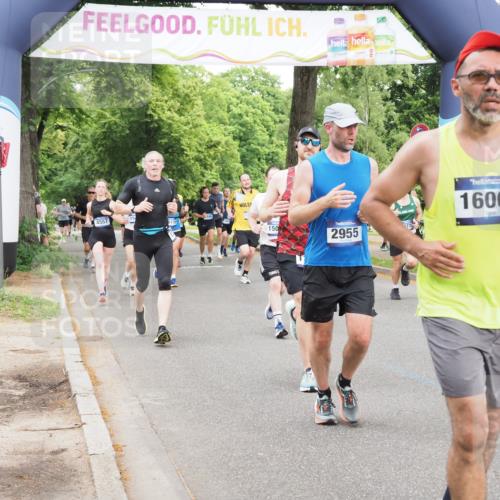 29.06.2025 - hella hamburg halbmarathon MichiJ http://msf.ph/oto/8335360 29.06.2025 10:38:58 Zwischen KM18-KM19 1335, 2955, 3258, 4297, 4404, 4557, 5102, 8413, 8508, 10667, 11459, 12778, 13808, 14994, 15001, 16003, 16179, 17033, 17978, 18413, 18475 meine-sportfotos.de