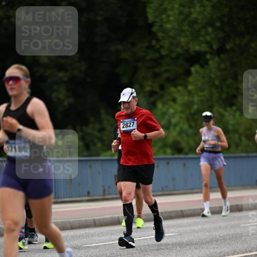 29.06.2025 - hella hamburg halbmarathon Dr. Thomas Lammeyer http://msf.ph/oto/8336462 29.06.2025 10:40:02 Kennedybrücke 1336, 1717, 2352, 2412, 2588, 2827, 3828, 4413, 4965, 5147, 5531, 6189, 6845, 6867, 7111, 7275, 8356, 8567, 8947, 9470, 9819, 10047, 10565, 10567, 11010, 11187, 11198, 11233, 11359 meine-sportfotos.de