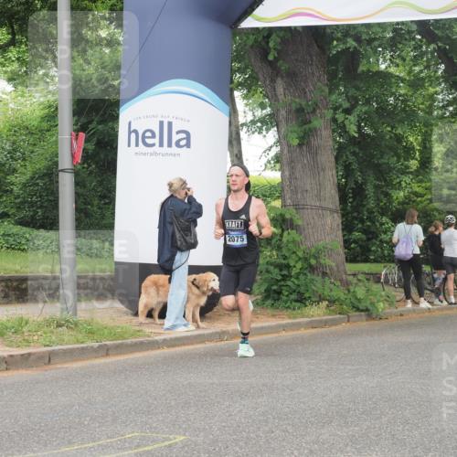 29.06.2025 - hella hamburg halbmarathon KatJ http://msf.ph/oto/8337335 29.06.2025 10:18:27 Zwischen KM18-KM19 3968, 6090 meine-sportfotos.de