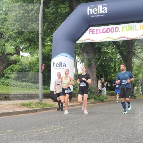 29.06.2025 - hella hamburg halbmarathon KatJ http://msf.ph/oto/8341825 29.06.2025 10:48:47 Zwischen KM18-KM19 1726, 1823, 2582, 5299, 5305, 6602, 7636, 7658, 8730 meine-sportfotos.de