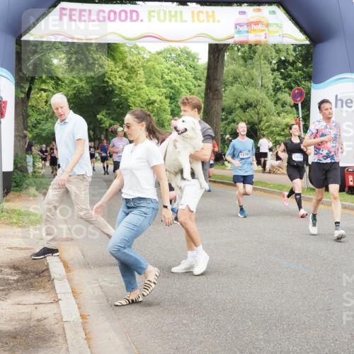 29.06.2025 - hella hamburg halbmarathon MichiJ http://msf.ph/oto/8386854 29.06.2025 10:47:42 Zwischen KM18-KM19 1006, 1414, 1453, 2011, 2086, 2322, 2323, 7033, 8923, 10943, 12787, 13086, 15525, 15901, 16439, 17860 meine-sportfotos.de