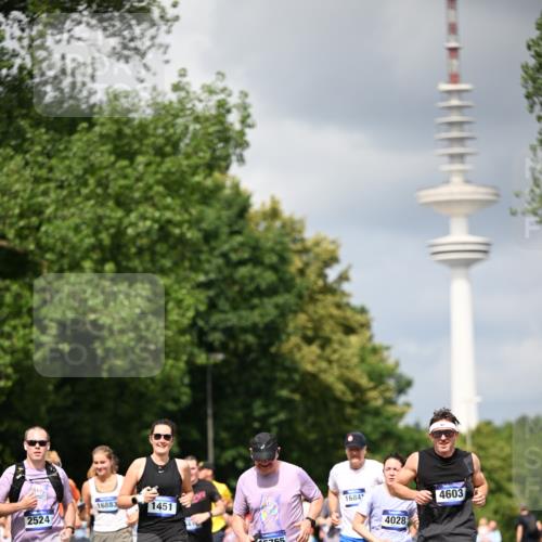 29.06.2025 - hella hamburg halbmarathon Dr. Thomas Lammeyer http://msf.ph/oto/8412272 29.06.2025 10:43:20 Kennedybrücke 1451, 1856, 1883, 2092, 2498, 2524, 2534, 2660, 3216, 3307, 3726, 4028, 4410, 4603, 4964, 5617, 5684, 5735, 6112, 7341, 7350, 7589, 7815, 10315, 10604, 10696, 11059, 11129, 11313 meine-sportfotos.de