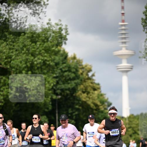 29.06.2025 - hella hamburg halbmarathon Dr. Thomas Lammeyer http://msf.ph/oto/8412302 29.06.2025 10:43:20 Kennedybrücke 1451, 1856, 1883, 2092, 2498, 2524, 2534, 2660, 3216, 3307, 3726, 4028, 4410, 4603, 4964, 5617, 5684, 5735, 6112, 7341, 7350, 7589, 7815, 10315, 10604, 10696, 11059, 11129, 11313 meine-sportfotos.de