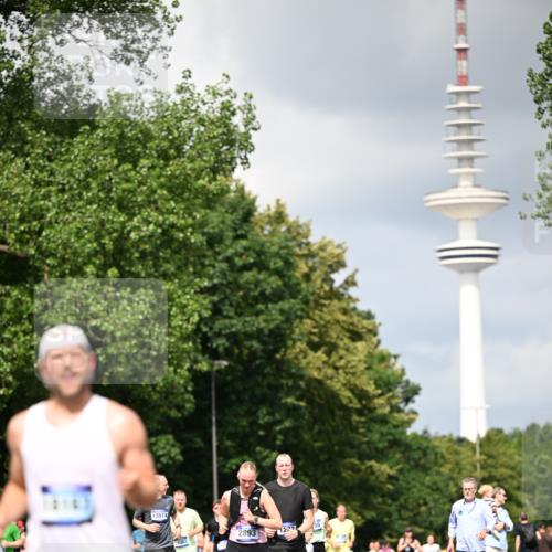 29.06.2025 - hella hamburg halbmarathon Dr. Thomas Lammeyer http://msf.ph/oto/8412842 29.06.2025 10:43:39 Kennedybrücke 1232, 1883, 2092, 2498, 2534, 2660, 2893, 4410, 6112, 6321, 6342, 6343, 6611, 7053, 7263, 7684, 7815, 8243, 8367, 8457, 8783, 9393, 9708, 10001, 10315, 10516, 10554, 10604, 10696, 11129, 11313, 11381, 11382 meine-sportfotos.de