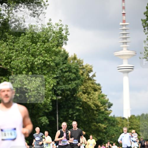 29.06.2025 - hella hamburg halbmarathon Dr. Thomas Lammeyer http://msf.ph/oto/8412860 29.06.2025 10:43:40 Kennedybrücke 1232, 1883, 2092, 2498, 2660, 2893, 4410, 6112, 6321, 6342, 6343, 6611, 7053, 7263, 7501, 7684, 7815, 8243, 8367, 8457, 8783, 9393, 9708, 10001, 10315, 10516, 10554, 10604, 10696, 11129, 11313, 11381, 11382 meine-sportfotos.de