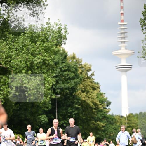 29.06.2025 - hella hamburg halbmarathon Dr. Thomas Lammeyer http://msf.ph/oto/8412892 29.06.2025 10:43:40 Kennedybrücke 1232, 1883, 2092, 2498, 2660, 2893, 4410, 6112, 6321, 6342, 6343, 6611, 7053, 7263, 7501, 7684, 7815, 8243, 8367, 8457, 8783, 9393, 9708, 10001, 10315, 10516, 10554, 10604, 10696, 11129, 11313, 11381, 11382 meine-sportfotos.de