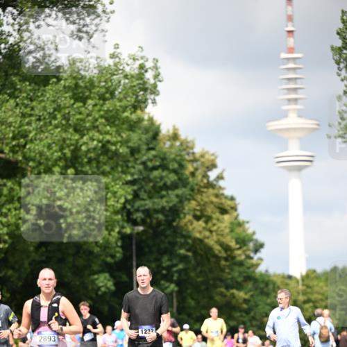 29.06.2025 - hella hamburg halbmarathon Dr. Thomas Lammeyer http://msf.ph/oto/8412990 29.06.2025 10:43:43 Kennedybrücke 1232, 2092, 2498, 2893, 3353, 4855, 6112, 6321, 6342, 6343, 6611, 7053, 7125, 7263, 7501, 7684, 7815, 8243, 8367, 8457, 8783, 9393, 9708, 10001, 10315, 10516, 10554, 10604, 10696, 10888, 11313, 11381, 11382 meine-sportfotos.de