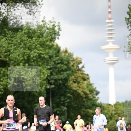29.06.2025 - hella hamburg halbmarathon Dr. Thomas Lammeyer http://msf.ph/oto/8413034 29.06.2025 10:43:44 Kennedybrücke 1232, 2498, 2893, 3353, 4855, 6112, 6321, 6342, 6343, 6611, 7053, 7125, 7263, 7501, 7684, 7815, 8243, 8367, 8457, 8783, 9393, 9708, 10001, 10315, 10516, 10554, 10696, 10888, 10901, 11313, 11381, 11382 meine-sportfotos.de