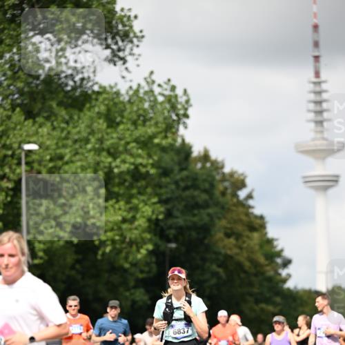 29.06.2025 - hella hamburg halbmarathon Dr. Thomas Lammeyer http://msf.ph/oto/8420811 29.06.2025 10:47:06 Kennedybrücke 1150, 1360, 1656, 1752, 1929, 1994, 2134, 2401, 2450, 2509, 2580, 2940, 2941, 3378, 3874, 4092, 4680, 4778, 5403, 5419, 6136, 6440, 6764, 6828, 6837, 7043, 7260, 7357, 7477, 7515, 7557, 7666, 8000, 8161, 8435, 8525, 8526, 9644, 9980, 10008, 10623, 10697, 10734, 10842, 10899, 11074, 11075, 11331 meine-sportfotos.de
