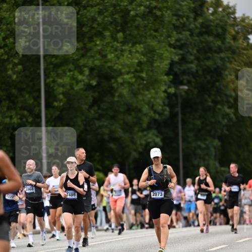 29.06.2025 - hella hamburg halbmarathon Dr. Thomas Lammeyer http://msf.ph/oto/8423076 29.06.2025 10:48:37 Kennedybrücke 1026, 1095, 1400, 1459, 1802, 1804, 2073, 2186, 2258, 2674, 2733, 3065, 3597, 4636, 4866, 4968, 5127, 5355, 5902, 5905, 6036, 6226, 6334, 7489, 8058, 8591, 8763, 8870, 9331, 9333, 9879, 10006, 10097, 10220, 10285, 10553, 10707, 11093 meine-sportfotos.de