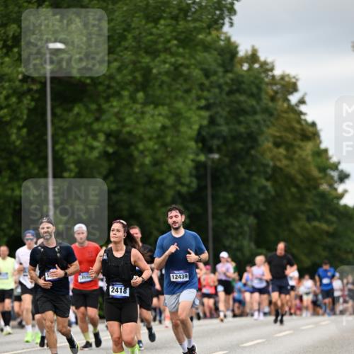 29.06.2025 - hella hamburg halbmarathon Dr. Thomas Lammeyer http://msf.ph/oto/8431543 29.06.2025 10:52:19 Kennedybrücke 1045, 1430, 1434, 1523, 1645, 2148, 2163, 2195, 2407, 2418, 2882, 2994, 3468, 3504, 3679, 3933, 4037, 4239, 4588, 4974, 5796, 5886, 6255, 6256, 6879, 7412, 8270, 8310, 8948, 9018, 9356, 10075, 10658, 10777, 10903, 10991, 11351 meine-sportfotos.de