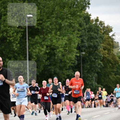 29.06.2025 - hella hamburg halbmarathon Dr. Thomas Lammeyer http://msf.ph/oto/8433198 29.06.2025 10:53:00 Kennedybrücke 1157, 1174, 1175, 1392, 1463, 1701, 1720, 2067, 3077, 3215, 3486, 4327, 5010, 5714, 5952, 6950, 7394, 7532, 8719, 9552, 9691, 9775, 10366, 10794, 11000 meine-sportfotos.de