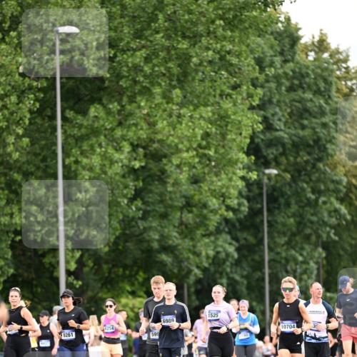 29.06.2025 - hella hamburg halbmarathon Dr. Thomas Lammeyer http://msf.ph/oto/8434627 29.06.2025 10:54:09 Kennedybrücke 1525, 1805, 2437, 2438, 2541, 2716, 2927, 2997, 3070, 4589, 5106, 5479, 5480, 5997, 6680, 6694, 6989, 7679, 8254, 9015, 9162, 9261, 10038, 10060, 10704, 10782, 11030 meine-sportfotos.de