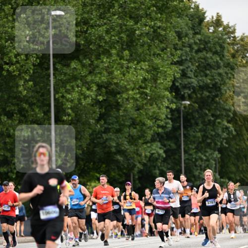 29.06.2025 - hella hamburg halbmarathon Dr. Thomas Lammeyer http://msf.ph/oto/8440272 29.06.2025 10:56:59 Kennedybrücke 1369, 2308, 2593, 2988, 3140, 3227, 3645, 3787, 5262, 6135, 6604, 6671, 6985, 7682, 7735, 7737, 7871, 8250, 8251, 9340, 10600, 10634, 10693, 10884, 11297 meine-sportfotos.de