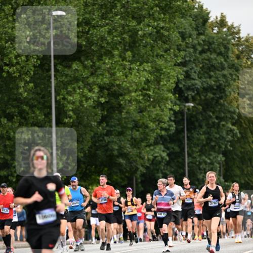29.06.2025 - hella hamburg halbmarathon Dr. Thomas Lammeyer http://msf.ph/oto/8440279 29.06.2025 10:56:59 Kennedybrücke 1369, 2308, 2593, 2988, 3140, 3227, 3645, 3787, 5262, 6135, 6604, 6671, 6985, 7682, 7735, 7737, 7871, 8250, 8251, 9340, 10600, 10634, 10693, 10884, 11297 meine-sportfotos.de