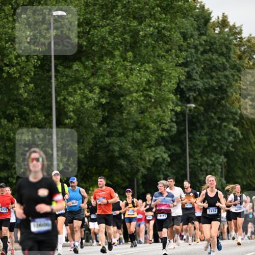 29.06.2025 - hella hamburg halbmarathon Dr. Thomas Lammeyer http://msf.ph/oto/8440285 29.06.2025 10:56:59 Kennedybrücke 1369, 2308, 2593, 2988, 3140, 3227, 3645, 3787, 5262, 6135, 6604, 6671, 6985, 7682, 7735, 7737, 7871, 8250, 8251, 9340, 10600, 10634, 10693, 10884, 11297 meine-sportfotos.de
