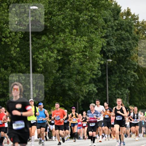 29.06.2025 - hella hamburg halbmarathon Dr. Thomas Lammeyer http://msf.ph/oto/8440294 29.06.2025 10:56:59 Kennedybrücke 1369, 2308, 2593, 2988, 3140, 3227, 3645, 3787, 5262, 6135, 6604, 6671, 6985, 7682, 7735, 7737, 7871, 8250, 8251, 9340, 10600, 10634, 10693, 10884, 11297 meine-sportfotos.de