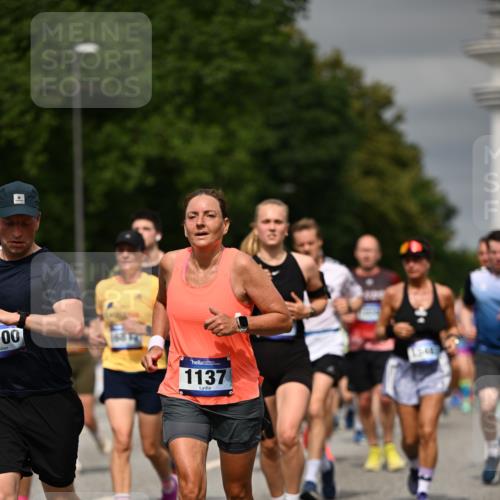 29.06.2025 - hella hamburg halbmarathon Dr. Thomas Lammeyer http://msf.ph/oto/8488285 29.06.2025 10:21:24 Kennedybrücke 1083, 1137, 1403, 1795, 2225, 2860, 2908, 3210, 3464, 3466, 3802, 3803, 4852, 5390, 5929, 5930, 5995, 6126, 6128, 6328, 6352, 6520, 6522, 6786, 7114, 7115, 7291, 7945, 8210, 8253, 8309, 8433, 8558, 8895, 8983, 9259, 9400, 9647, 9848, 10377, 10460, 10592, 10620, 10735 meine-sportfotos.de