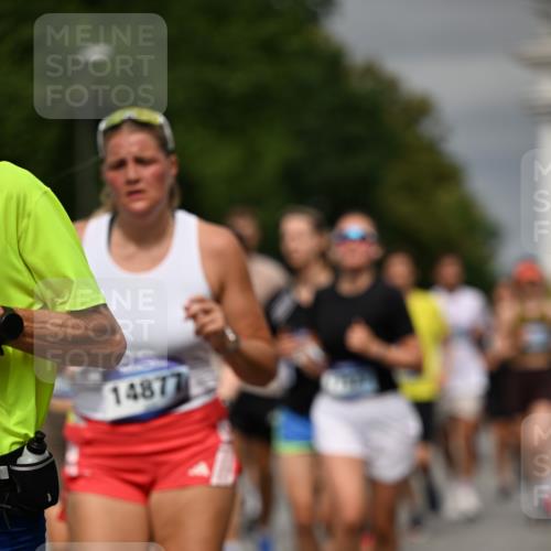 29.06.2025 - hella hamburg halbmarathon Dr. Thomas Lammeyer http://msf.ph/oto/8489148 29.06.2025 10:21:35 Kennedybrücke 1083, 1137, 1156, 1204, 1749, 1795, 2225, 2259, 2860, 2908, 3210, 3292, 3464, 3466, 3802, 3803, 4218, 4852, 5929, 5930, 5995, 6254, 6336, 6352, 6520, 6786, 7011, 7258, 7291, 7945, 8210, 8253, 8309, 8351, 8433, 8558, 9400, 9647, 9848, 10460, 10620 meine-sportfotos.de