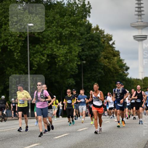 29.06.2025 - hella hamburg halbmarathon Dr. Thomas Lammeyer http://msf.ph/oto/8507101 29.06.2025 10:28:14 Kennedybrücke 1005, 1009, 1304, 1444, 2108, 2489, 2766, 3034, 3185, 3285, 4122, 4391, 4464, 4597, 4684, 5406, 5661, 6502, 7013, 7021, 7029, 8031, 8149, 8676, 9217, 9715, 10649, 11300 meine-sportfotos.de