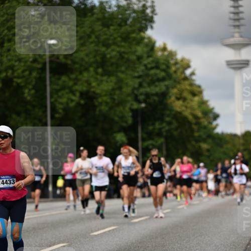 29.06.2025 - hella hamburg halbmarathon Dr. Thomas Lammeyer http://msf.ph/oto/8507581 29.06.2025 10:28:42 Kennedybrücke 1545, 2766, 3579, 4162, 4646, 4993, 5039, 5055, 5160, 5258, 5260, 5954, 7426, 7920, 8141, 8187, 8297, 8676, 8717, 8918, 8920, 9603, 11300, 11415 meine-sportfotos.de