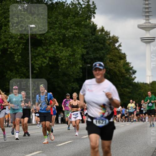 29.06.2025 - hella hamburg halbmarathon Dr. Thomas Lammeyer http://msf.ph/oto/8508627 29.06.2025 10:29:56 Kennedybrücke 1093, 1305, 1627, 1740, 2000, 2278, 3053, 3099, 3113, 3920, 3961, 3963, 4444, 4797, 5814, 6869, 7778, 8276, 8357, 8962, 11157, 11400 meine-sportfotos.de