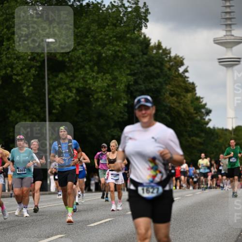 29.06.2025 - hella hamburg halbmarathon Dr. Thomas Lammeyer http://msf.ph/oto/8508628 29.06.2025 10:29:56 Kennedybrücke 1093, 1305, 1627, 1740, 2000, 2278, 3053, 3099, 3113, 3920, 3961, 3963, 4444, 4797, 5814, 6869, 7778, 8276, 8357, 8962, 11157, 11400 meine-sportfotos.de