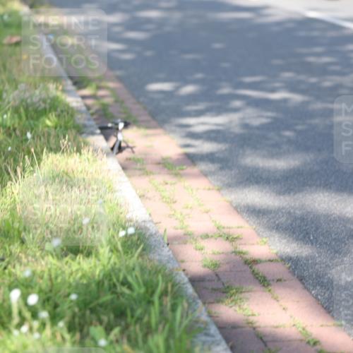 10.08.2025 - GEWOBA Citytriathlon Bremen Yannick Fuchs http://msf.ph/oto/8540667 10.08.2025 10:26:02 Radfahren 369, 431 meine-sportfotos.de
