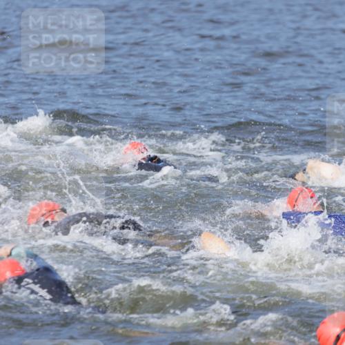 10.08.2025 - GEWOBA Citytriathlon Bremen H.Heesch http://msf.ph/oto/8544582 10.08.2025 10:03:58 Schwimmen  meine-sportfotos.de
