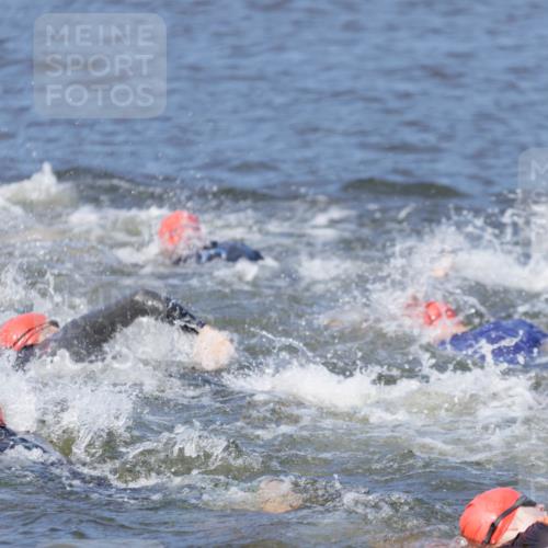 10.08.2025 - GEWOBA Citytriathlon Bremen H.Heesch http://msf.ph/oto/8544584 10.08.2025 10:03:58 Schwimmen  meine-sportfotos.de