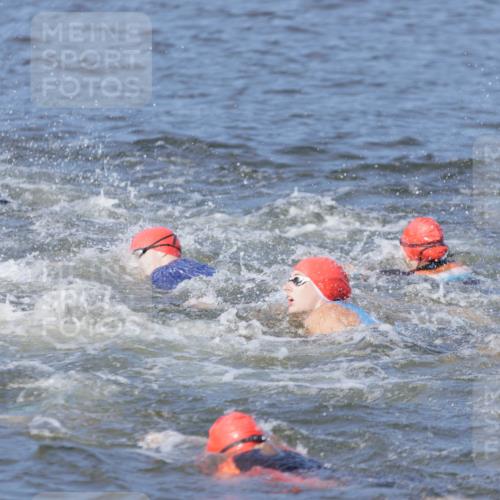 10.08.2025 - GEWOBA Citytriathlon Bremen H.Heesch http://msf.ph/oto/8544594 10.08.2025 10:03:59 Schwimmen  meine-sportfotos.de