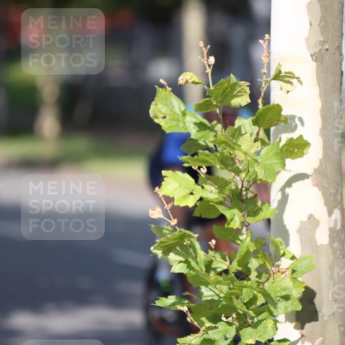 10.08.2025 - GEWOBA Citytriathlon Bremen Yannick Fuchs http://msf.ph/oto/8544830 10.08.2025 10:59:54 Radfahren 47, 141, 197, 201, 417, 475, 498 meine-sportfotos.de