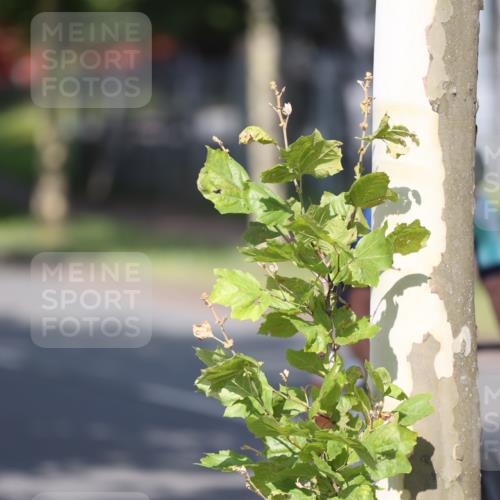 10.08.2025 - GEWOBA Citytriathlon Bremen Yannick Fuchs http://msf.ph/oto/8544834 10.08.2025 10:59:54 Radfahren 47, 141, 197, 201, 417, 475, 498 meine-sportfotos.de
