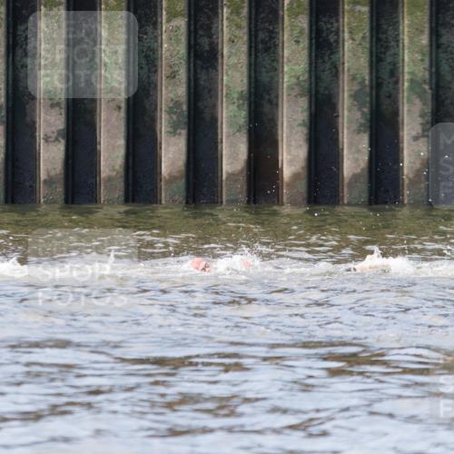 10.08.2025 - GEWOBA Citytriathlon Bremen H.Heesch http://msf.ph/oto/8545116 10.08.2025 10:04:36 Schwimmen  meine-sportfotos.de