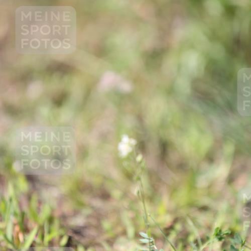 10.08.2025 - GEWOBA Citytriathlon Bremen Yannick Fuchs http://msf.ph/oto/8549832 10.08.2025 14:07:51 Radfahren 89 meine-sportfotos.de