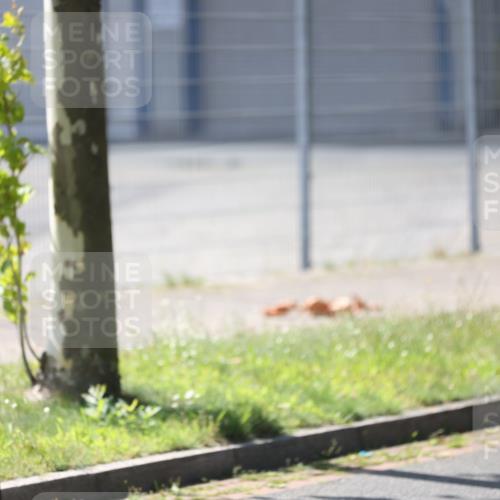 10.08.2025 - GEWOBA Citytriathlon Bremen Yannick Fuchs http://msf.ph/oto/8562176 10.08.2025 14:26:55 Radfahren 305, 349, 372, 408, 422, 445, 484, 497 meine-sportfotos.de