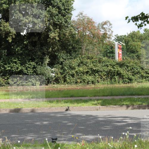 10.08.2025 - GEWOBA Citytriathlon Bremen Yannick Fuchs http://msf.ph/oto/8565156 10.08.2025 12:00:59 Radfahren 579 meine-sportfotos.de