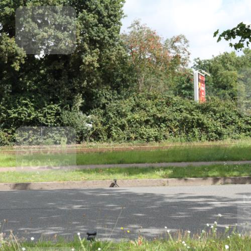 10.08.2025 - GEWOBA Citytriathlon Bremen Yannick Fuchs http://msf.ph/oto/8565161 10.08.2025 12:01:05 Radfahren 579 meine-sportfotos.de