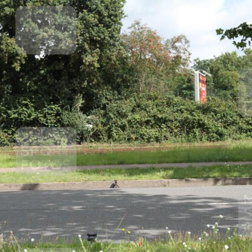 10.08.2025 - GEWOBA Citytriathlon Bremen Yannick Fuchs http://msf.ph/oto/8565163 10.08.2025 12:01:06 Radfahren 579 meine-sportfotos.de