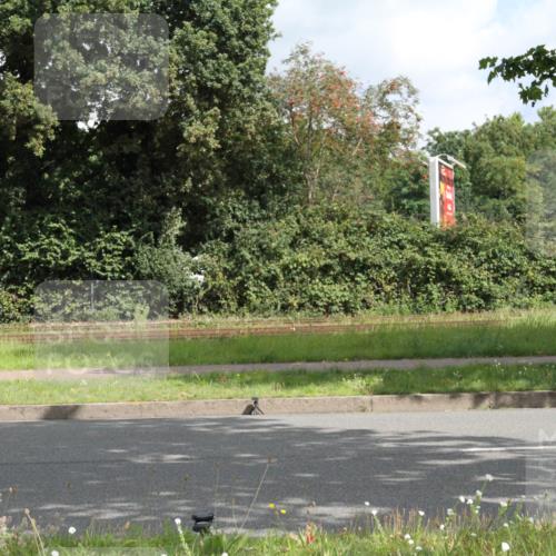 10.08.2025 - GEWOBA Citytriathlon Bremen Yannick Fuchs http://msf.ph/oto/8565166 10.08.2025 12:01:07 Radfahren 579 meine-sportfotos.de