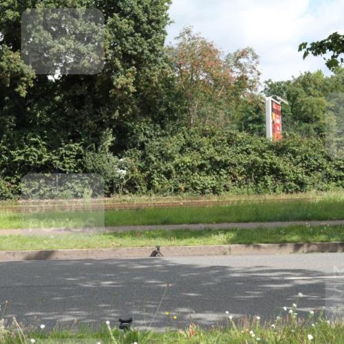10.08.2025 - GEWOBA Citytriathlon Bremen Yannick Fuchs http://msf.ph/oto/8565171 10.08.2025 12:01:08 Radfahren 579 meine-sportfotos.de