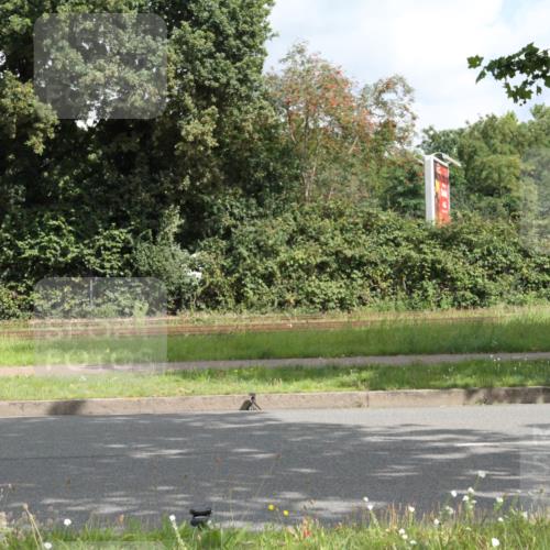 10.08.2025 - GEWOBA Citytriathlon Bremen Yannick Fuchs http://msf.ph/oto/8565183 10.08.2025 12:01:11 Radfahren 579 meine-sportfotos.de