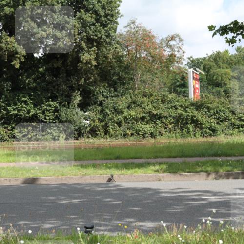 10.08.2025 - GEWOBA Citytriathlon Bremen Yannick Fuchs http://msf.ph/oto/8565185 10.08.2025 12:01:12 Radfahren 579 meine-sportfotos.de