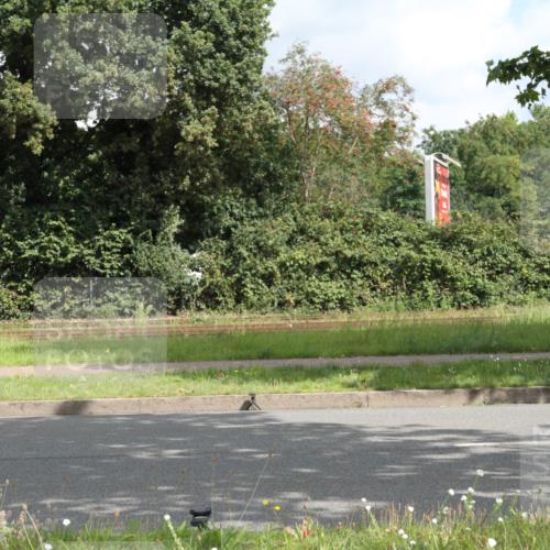 10.08.2025 - GEWOBA Citytriathlon Bremen Yannick Fuchs http://msf.ph/oto/8565193 10.08.2025 12:01:15 Radfahren  meine-sportfotos.de