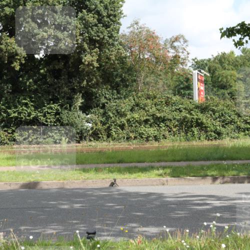 10.08.2025 - GEWOBA Citytriathlon Bremen Yannick Fuchs http://msf.ph/oto/8565196 10.08.2025 12:01:17 Radfahren  meine-sportfotos.de