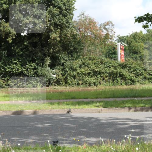 10.08.2025 - GEWOBA Citytriathlon Bremen Yannick Fuchs http://msf.ph/oto/8565198 10.08.2025 12:01:18 Radfahren  meine-sportfotos.de