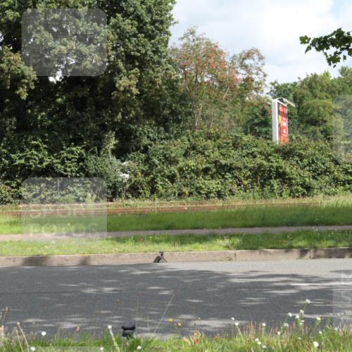 10.08.2025 - GEWOBA Citytriathlon Bremen Yannick Fuchs http://msf.ph/oto/8565201 10.08.2025 12:01:20 Radfahren  meine-sportfotos.de