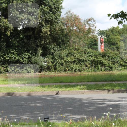 10.08.2025 - GEWOBA Citytriathlon Bremen Yannick Fuchs http://msf.ph/oto/8565211 10.08.2025 12:01:24 Radfahren  meine-sportfotos.de